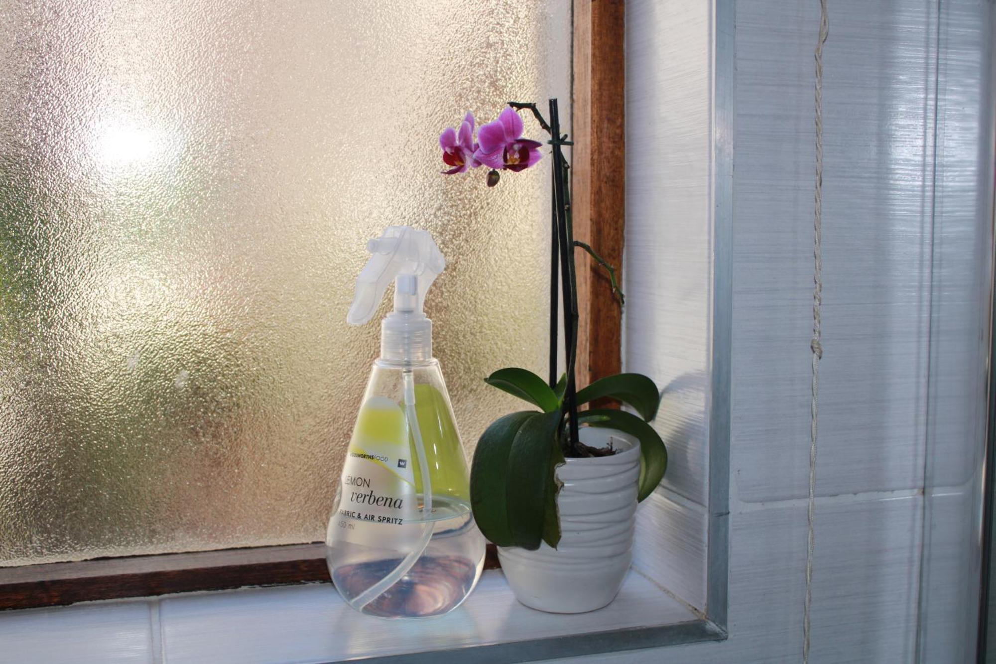 C-Vu-Cottage Cosy And Warm Private Apartment Мозел Бей Екстериор снимка